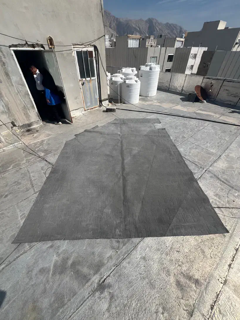 موکت|موکت|بندر کنگان, |دیوار