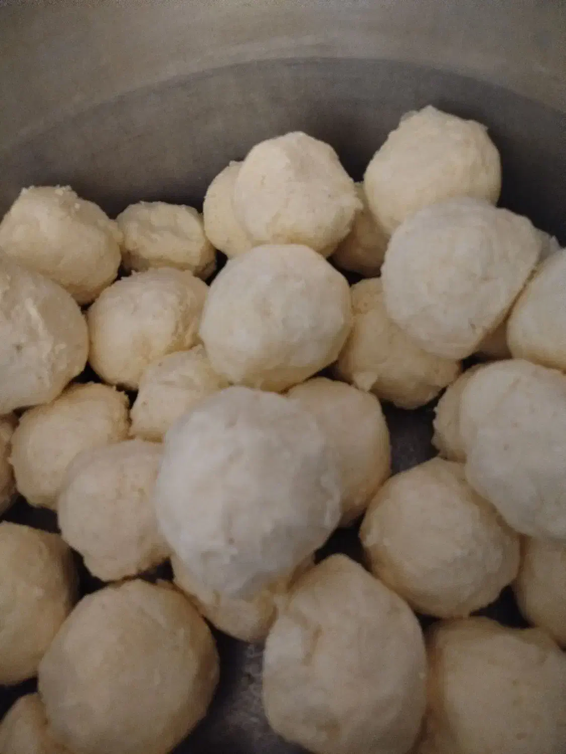 لبنیات|خوردنی و آشامیدنی|تربت جام, پاسداران|دیوار