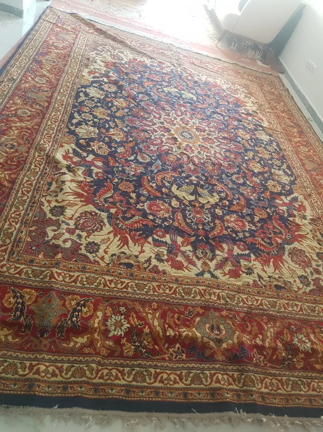 فرش دوازده متری .|فرش|اراک, |دیوار