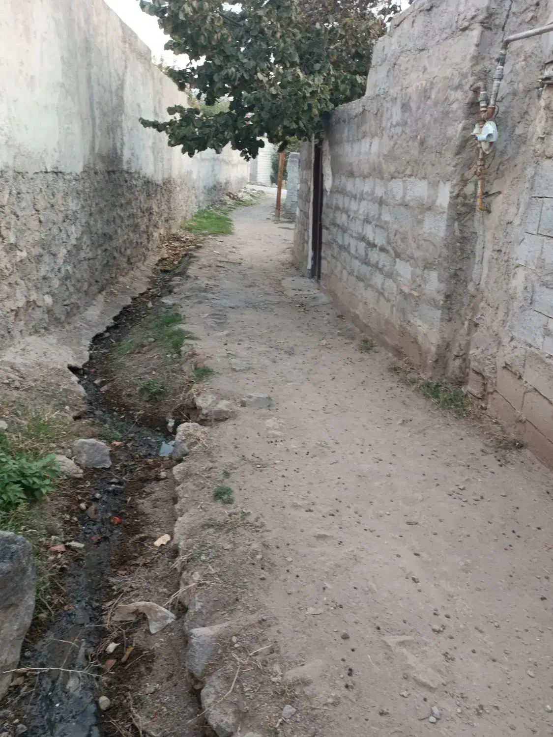 زمین|فروش دفتر صنعتی، کشاورزی، تجاری|مشگین شهر, |دیوار