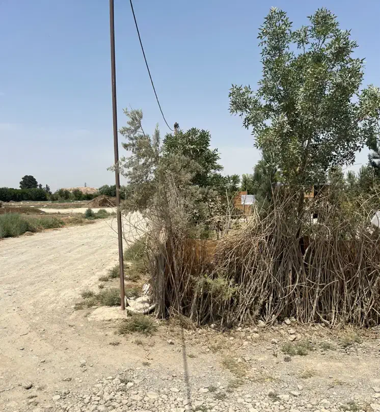 فروشی|فروش زمین و ملک کلنگی|اسلامشهر, کاشانک|دیوار