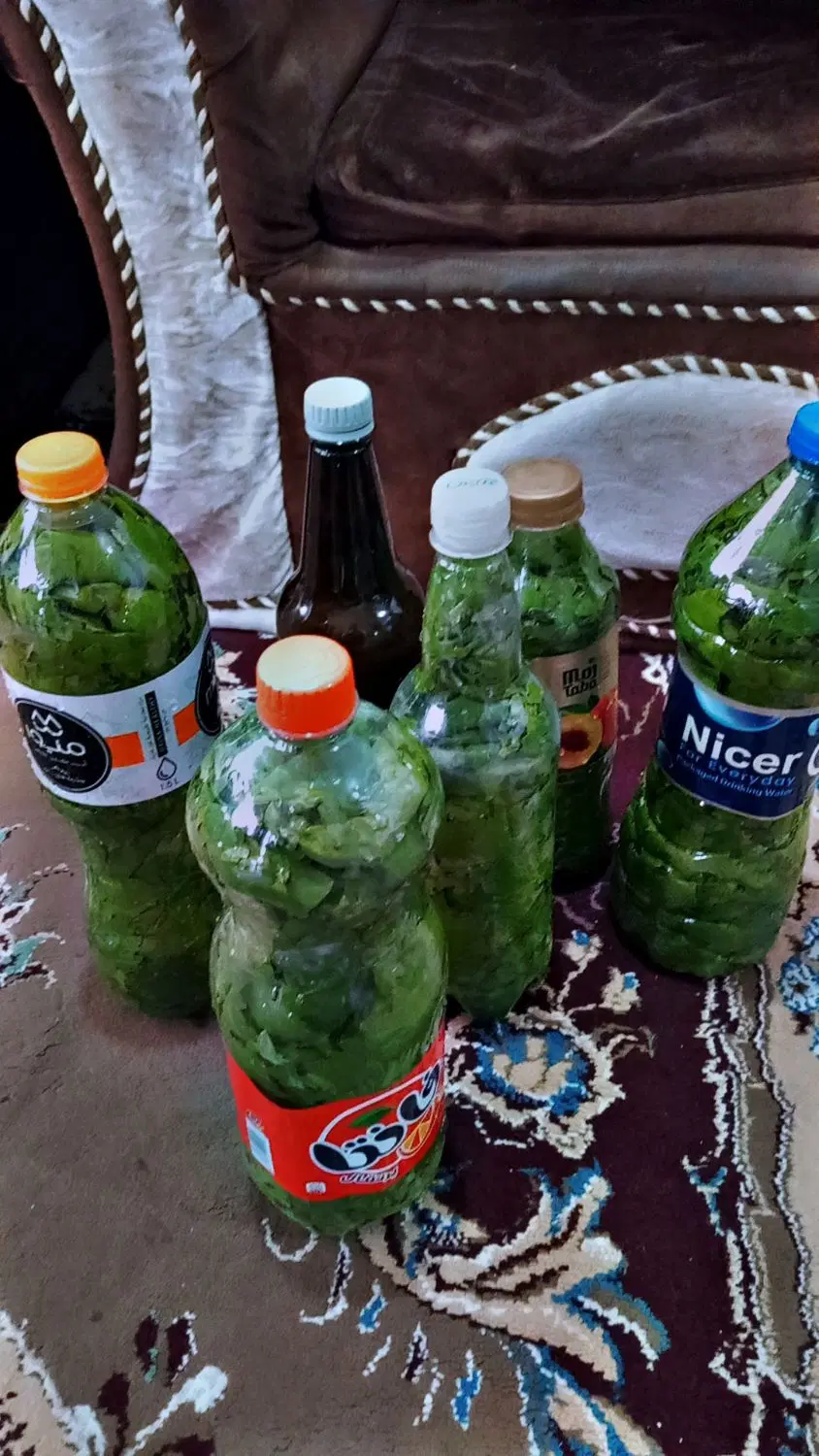 برگ دلمه|خوردنی و آشامیدنی|بهشهر, |دیوار