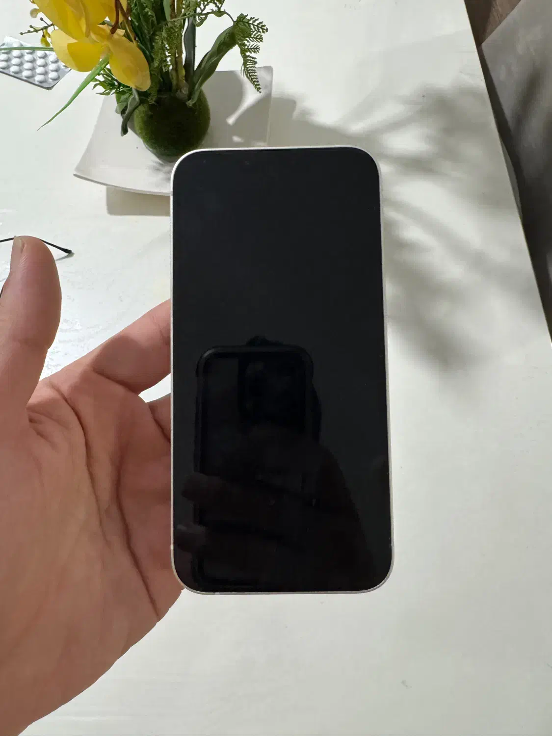 iphone 13 ایفون|موبایل|تهران, تهرانسر شمالی|دیوار