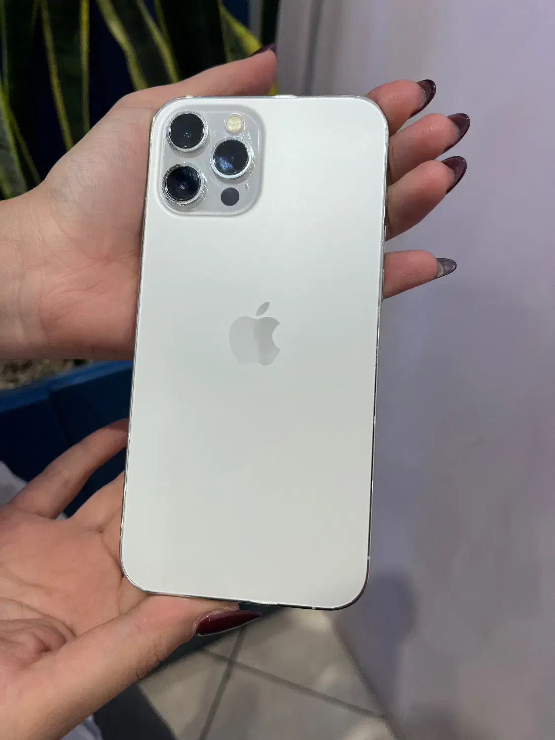 ایفون ۱۲ پرومکس|موبایل|گرگان, |دیوار