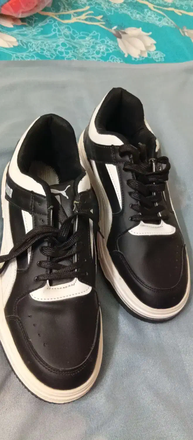 کفش کتونی مردانه|کیف، کفش، کمربند|تربتحیدریه, سرمحله|دیوار