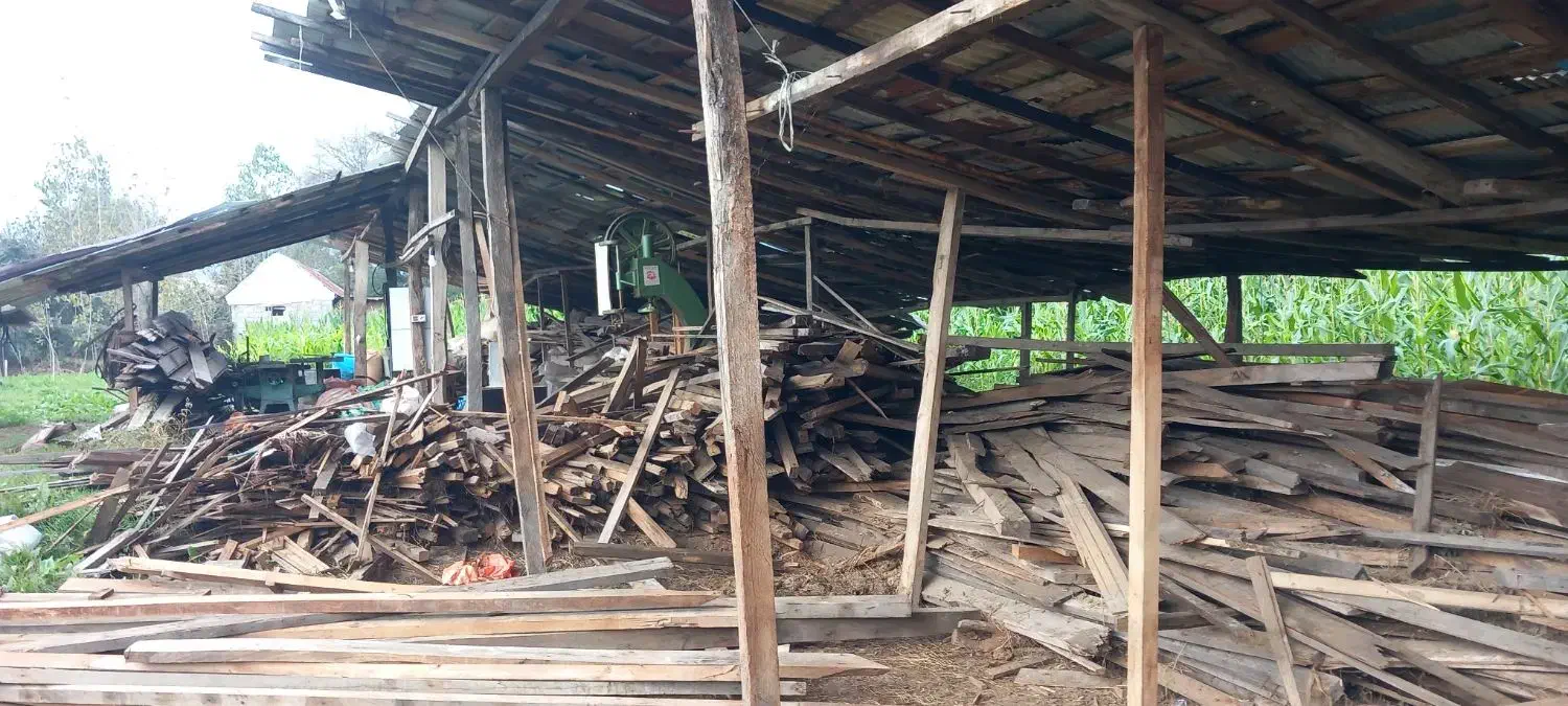 چوب رایگان|عمدهفروشی|ماسال, |دیوار