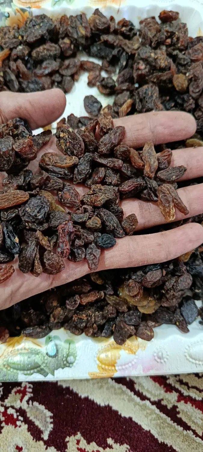 کشمش|خوردنی و آشامیدنی|زابل, |دیوار