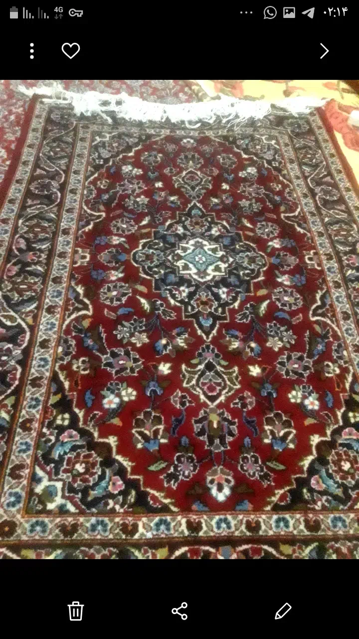فرش دستباف|فرش|قم, بکایی|دیوار