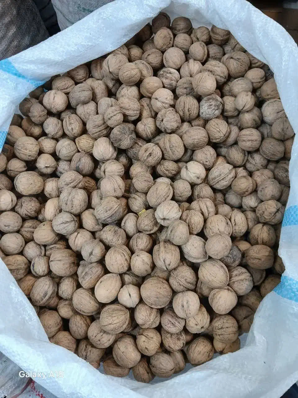 گردو تویسرکان|خوردنی و آشامیدنی|قم, شهرک سازمان آب|دیوار