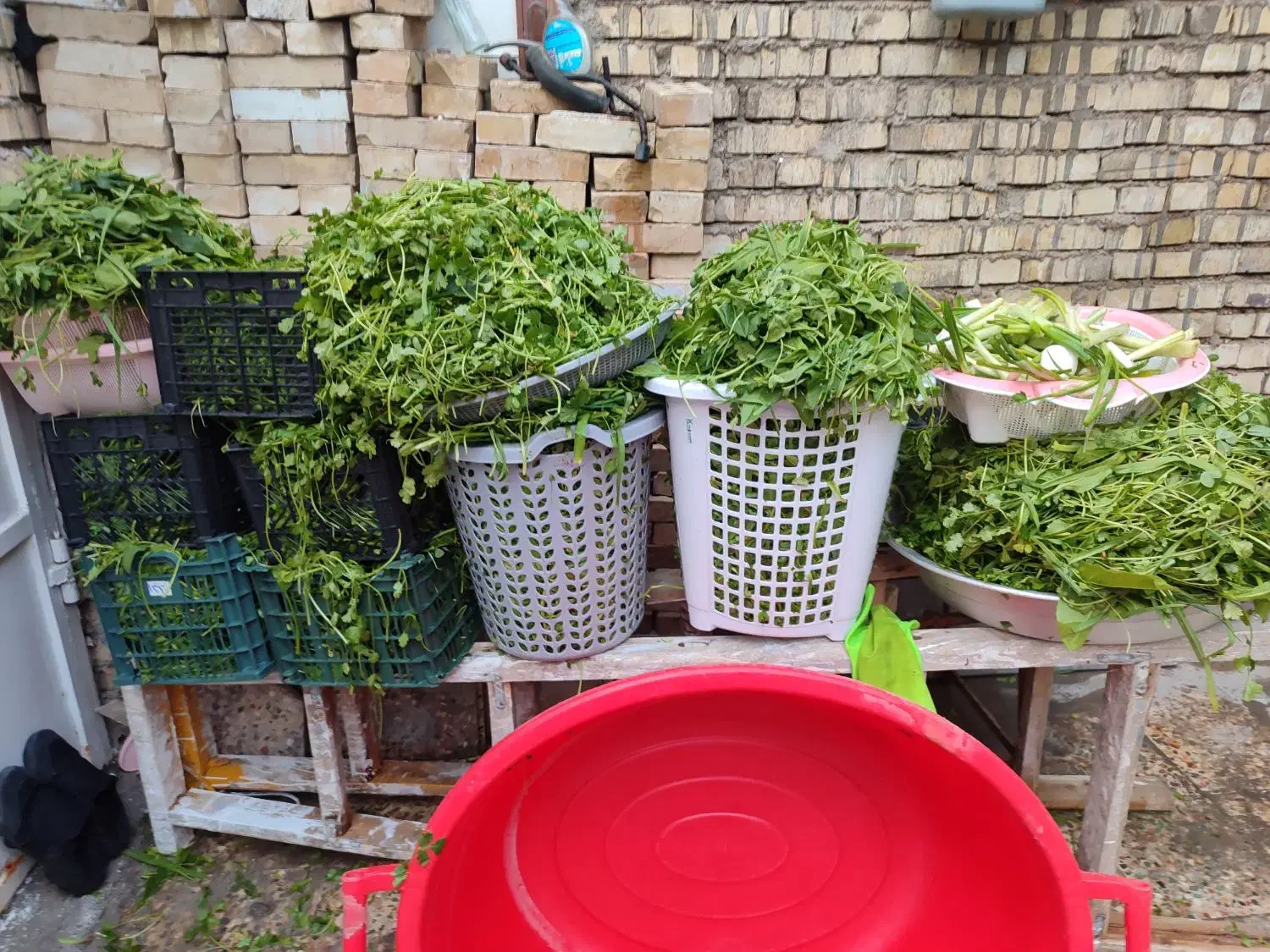 سبزی خردکن|خردکن، آسیاب، غذاساز|اهواز, کوی فرهنگیان ۱|دیوار