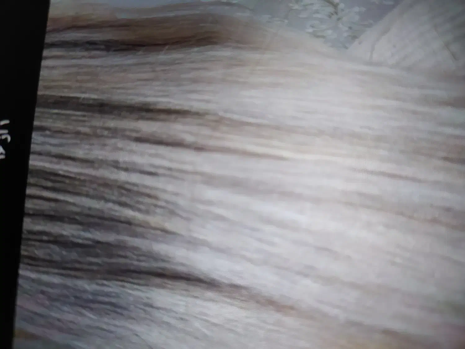 رنگ لایت|خدمات آرایشگری و زیبایی|شیروان (خراسان), |دیوار