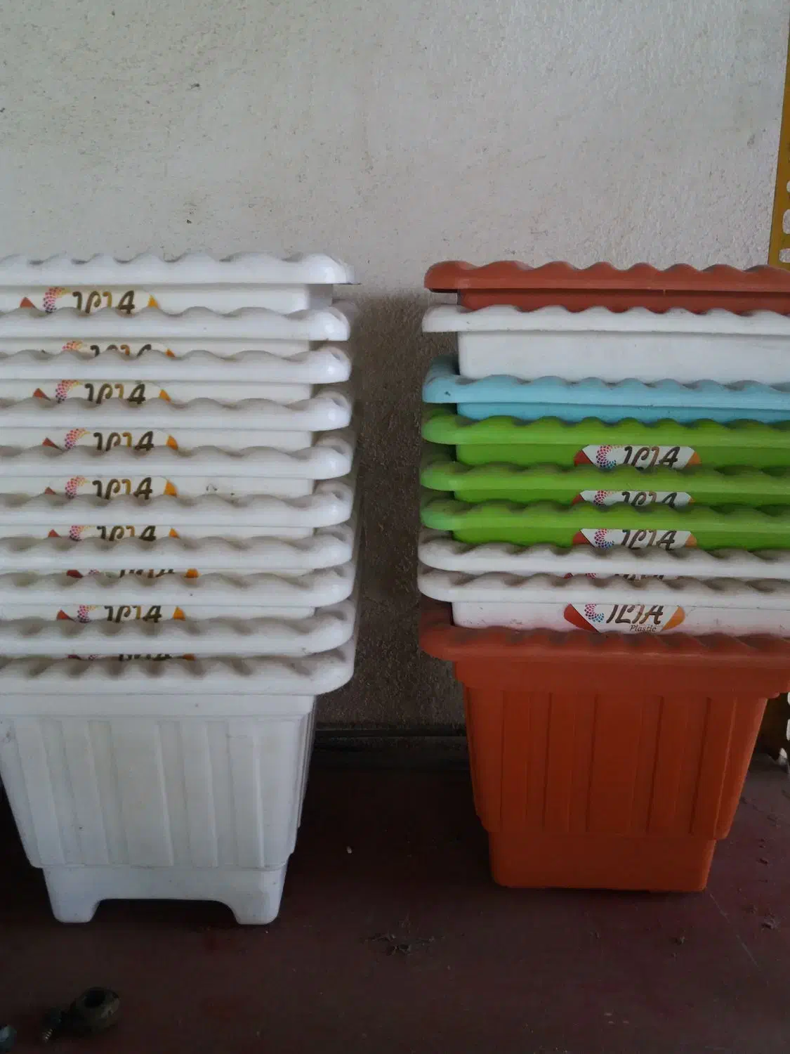 گل و گلدان|خدمات باغبانی و درختکاری|لاهیجان, شیشه گران|دیوار