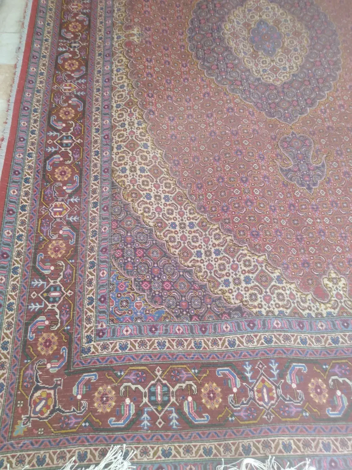 فرش دستباف 6متری طرح ماهی|فرش|اردبیل, |دیوار