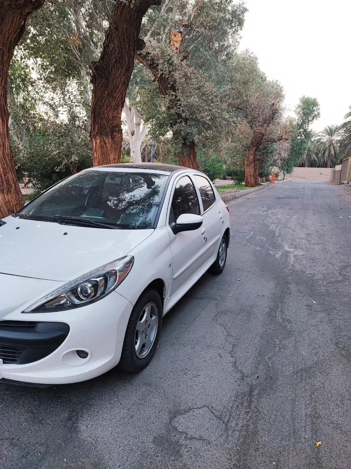 پژو 207 پانوراما|خودرو سواری و وانت|بم, |دیوار