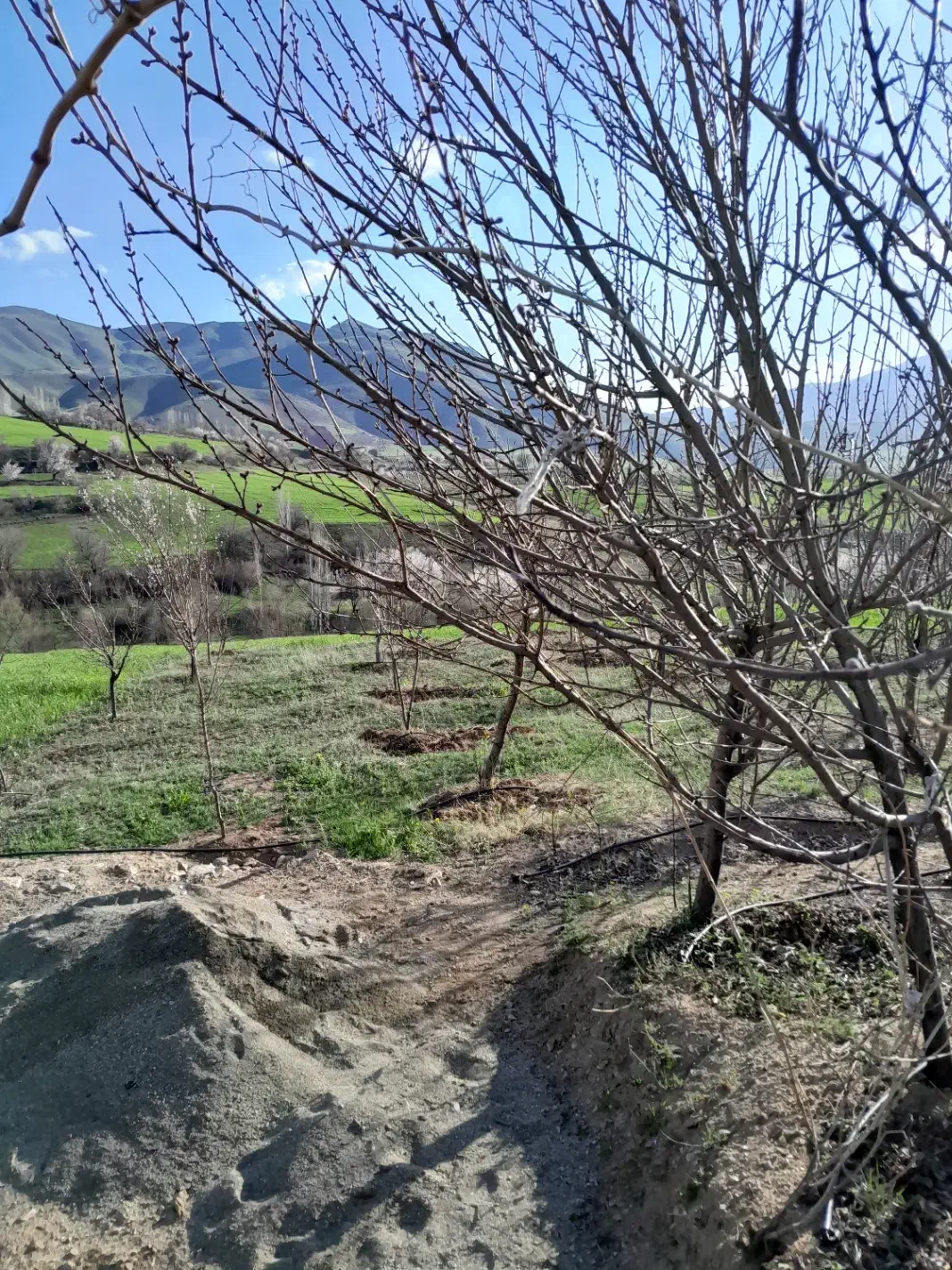 رنگه رژان|فروش دفتر صنعتی، کشاورزی، تجاری|سرشیو, |دیوار