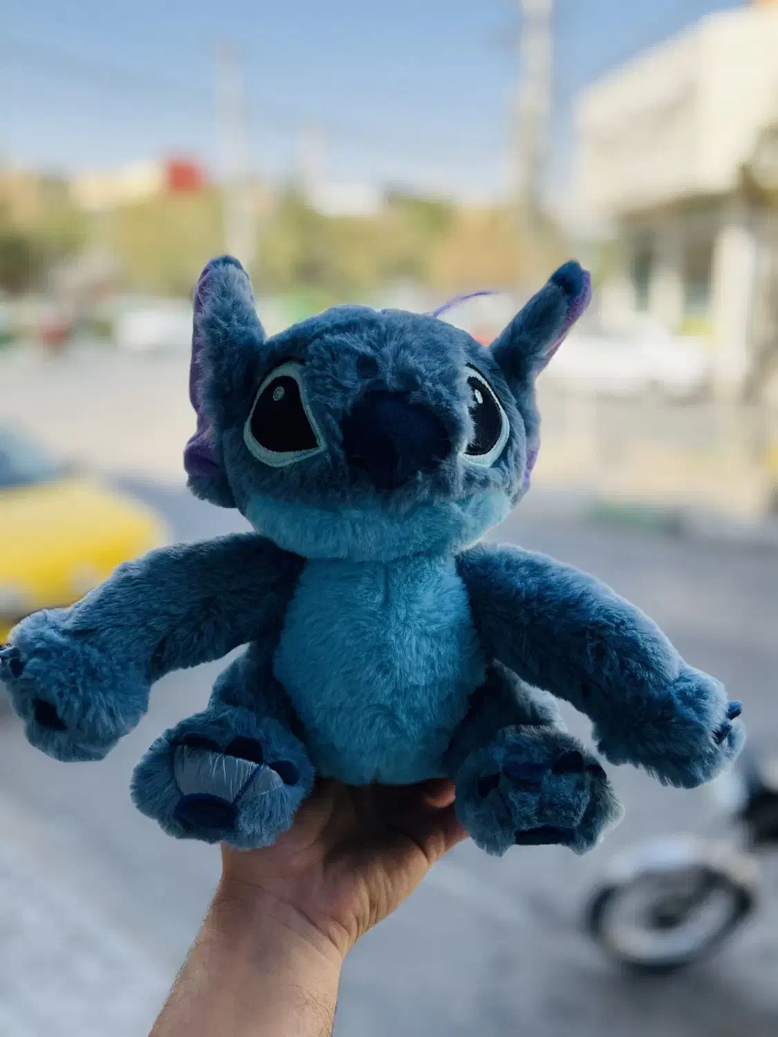 پخش عمده عروسک|اسباب‌‌بازی|قم, زاویه|دیوار