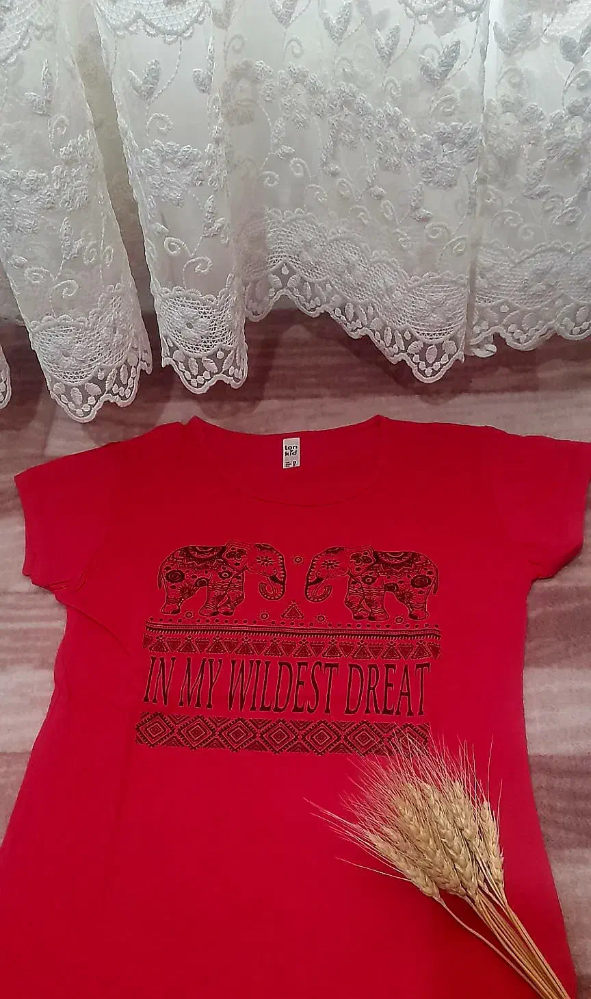 تی شرت از ترکیه آوردم|لباس|اردبیل, |دیوار