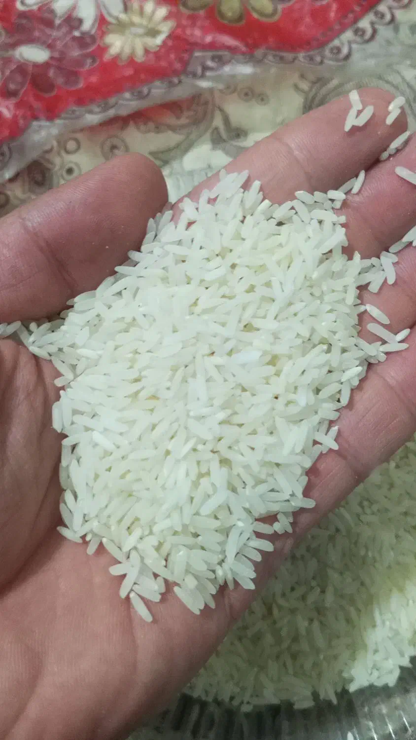 برنج محلی|خوردنی و آشامیدنی|سردشت, |دیوار