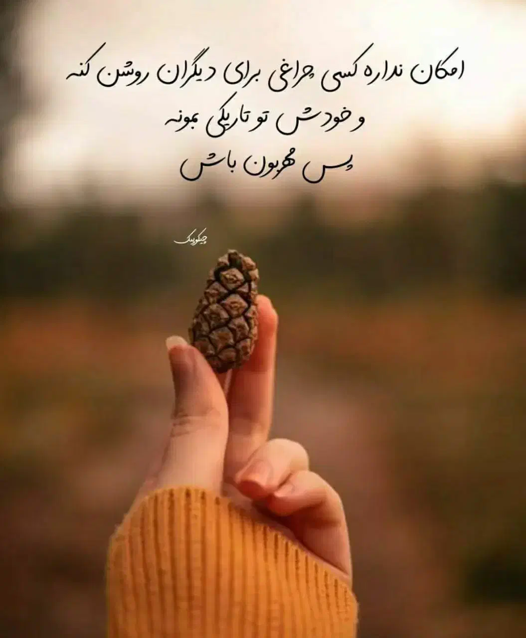 پول پیدا شده|اشیا|تبریز, |دیوار