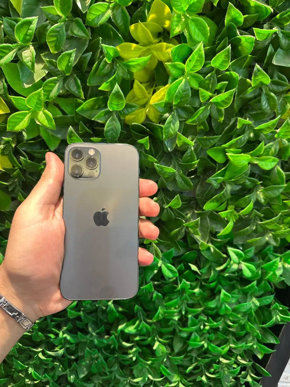 iPhone 12 pro za|موبایل|بابل, |دیوار