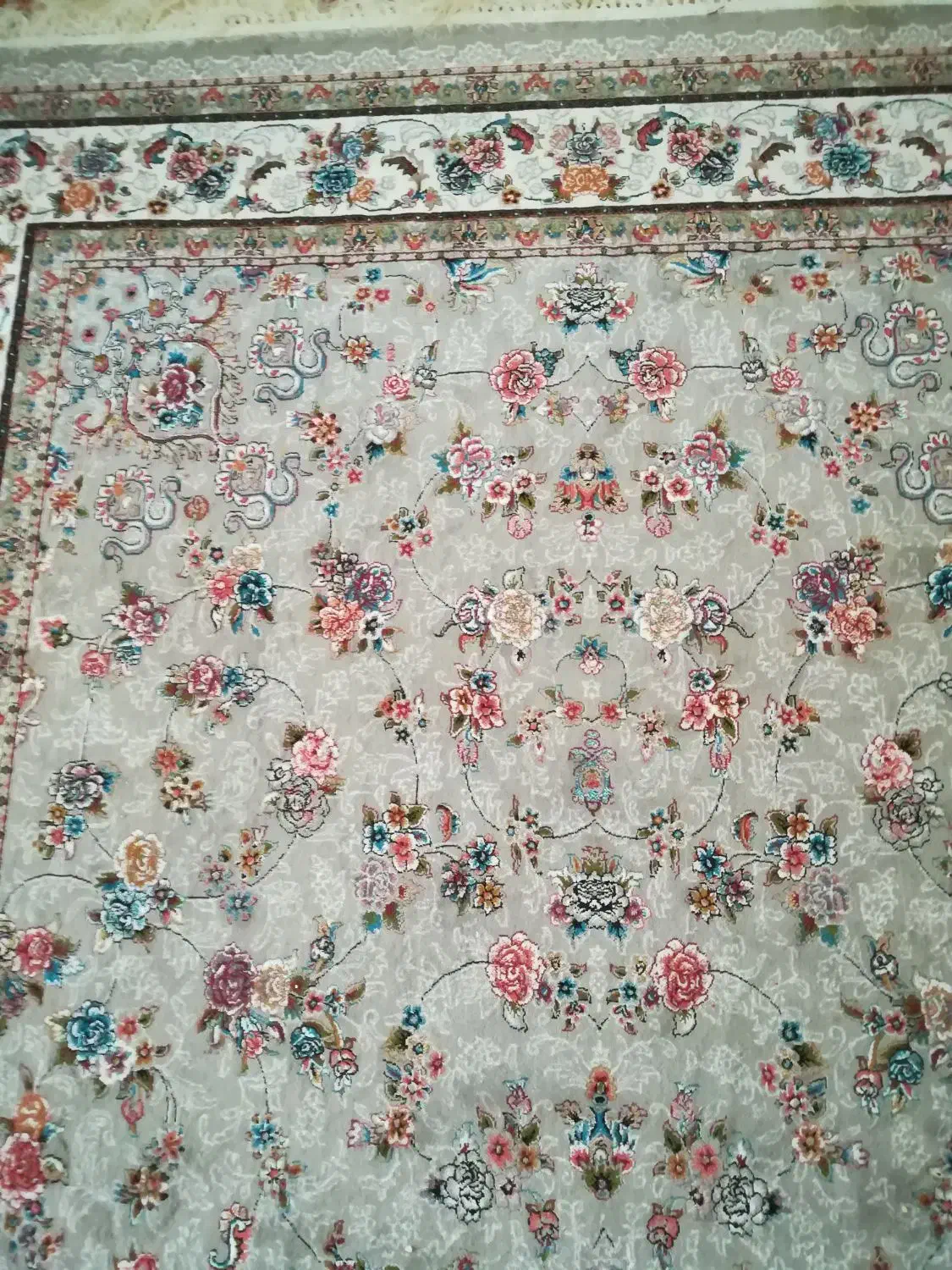 فروش فوری فرش|فرش|شیراز, شاهجیان|دیوار