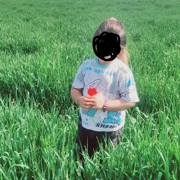 ۲هکتار زمین  روستای بهلکه شیخ موسی|فروش زمین و ملک کلنگی|آق قلا, |دیوار