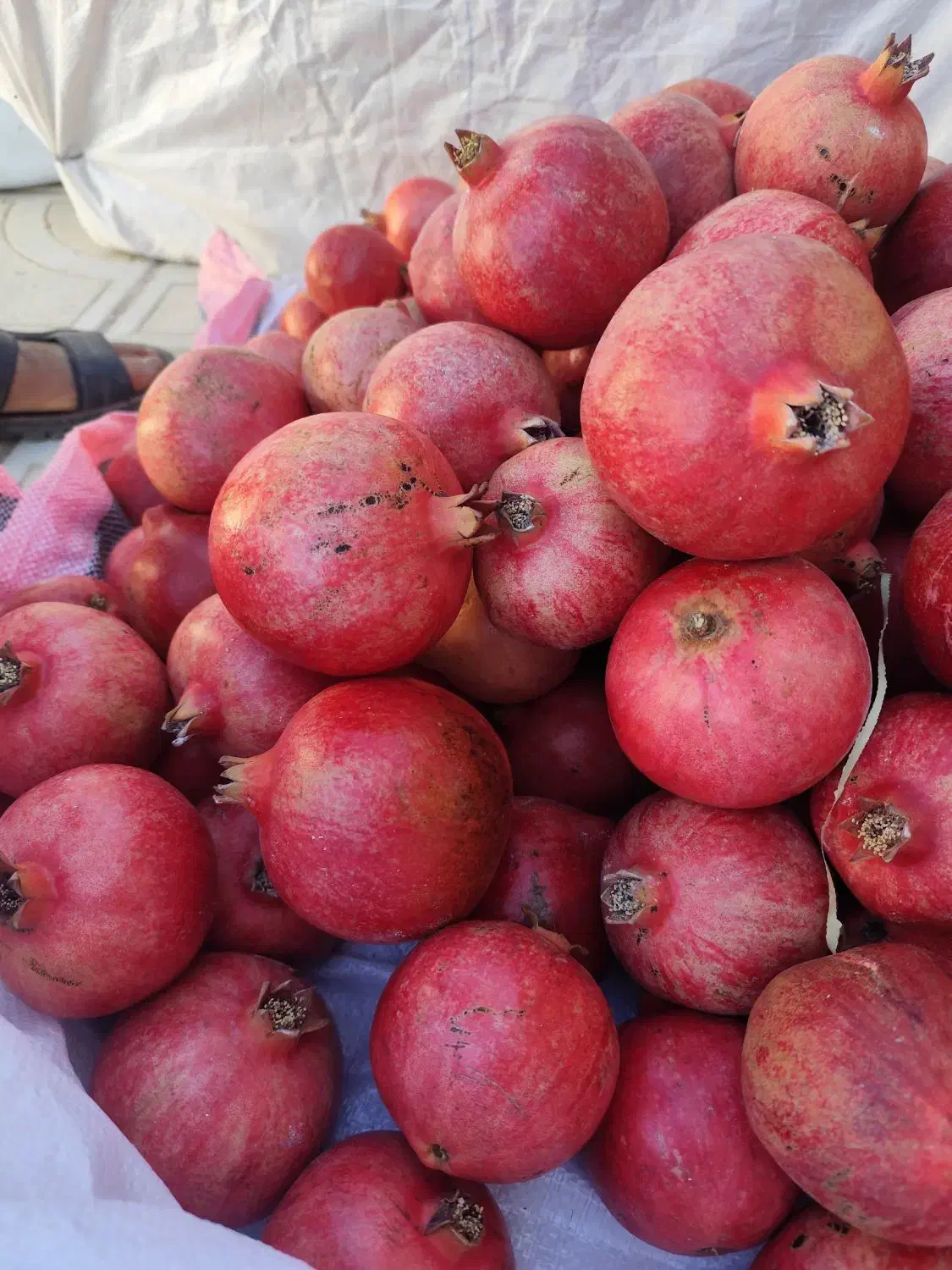 انار درجه 1|خوردنی و آشامیدنی|بختگان, |دیوار