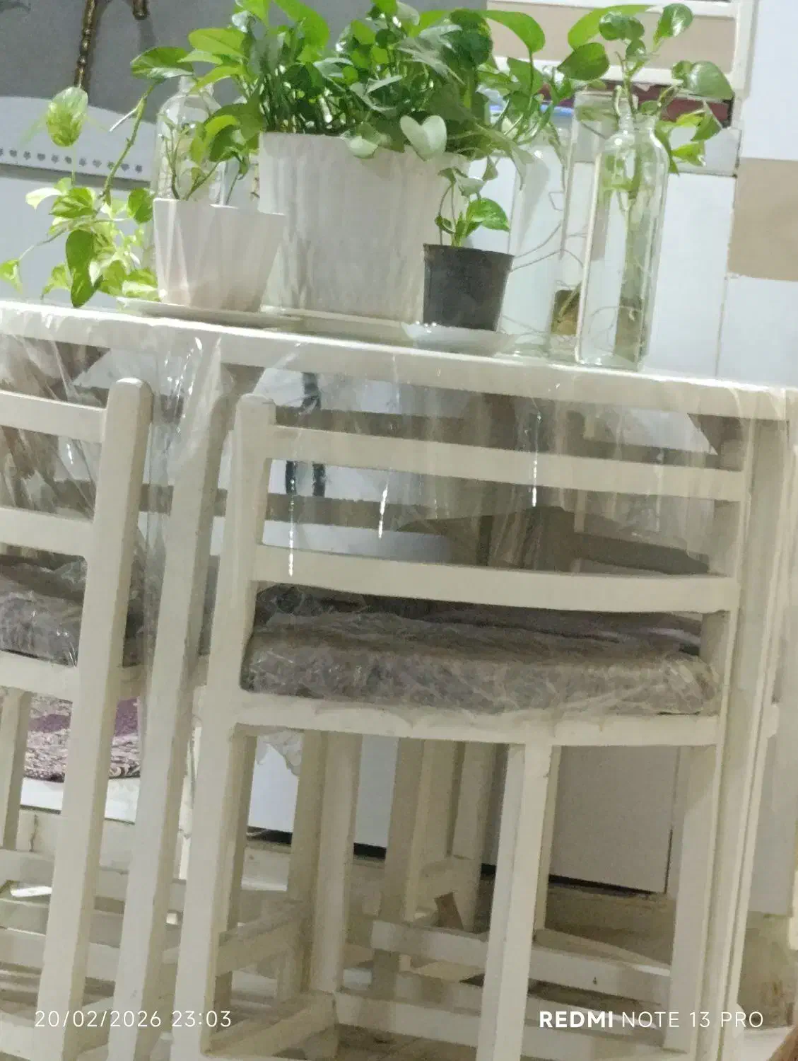 نهارخوری|میز و صندلی غذاخوری|اهواز, زیتون کارمندی|دیوار