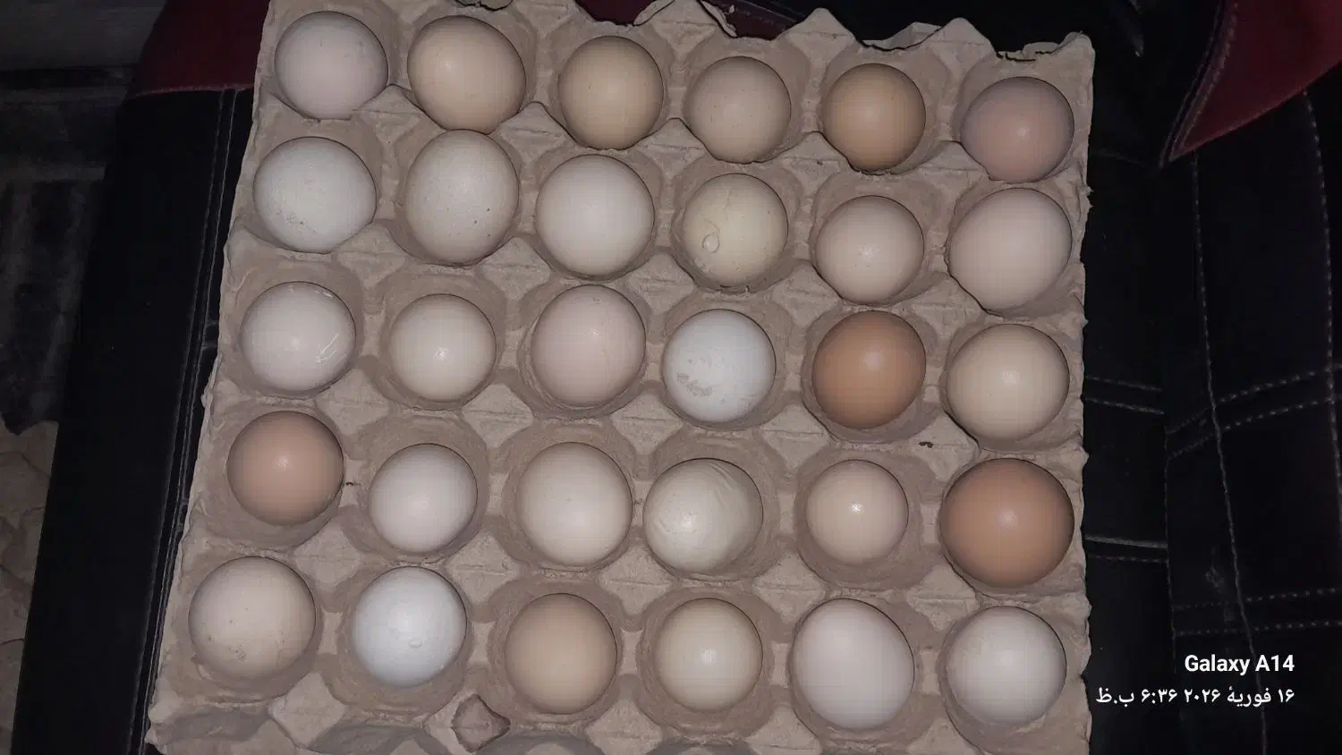 تخم مرغ محلی|خوردنی و آشامیدنی|قم, سراجه (۱۵ خرداد)|دیوار