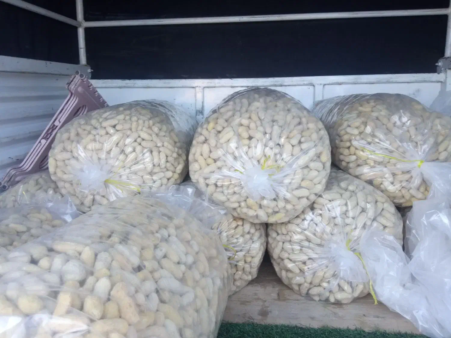 بادام زمینی درجه یک|عمده‌فروشی|جوانرود, |دیوار