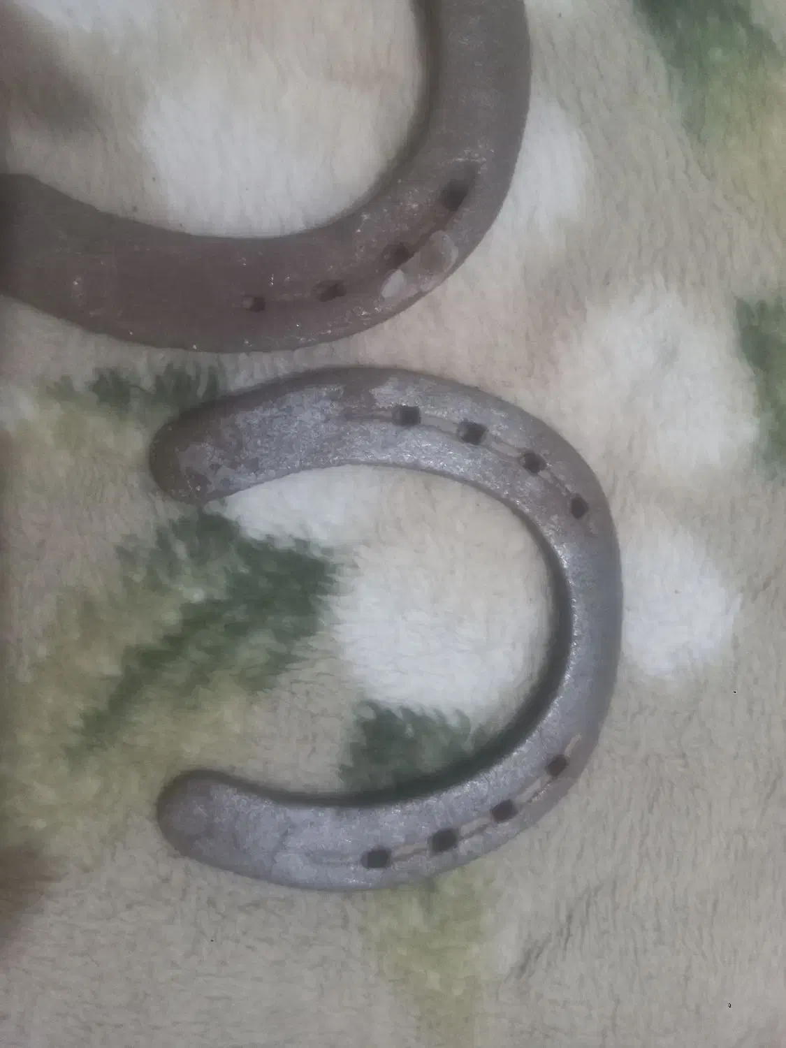 نعل اسب|کلکسیون اشیاء عتیقه|تربت جام, پاسداران|دیوار