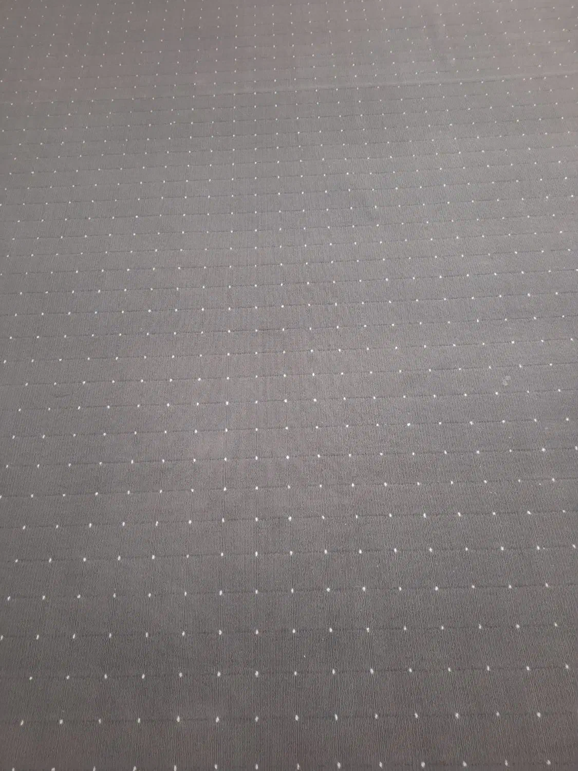 پالاز موکت|موکت|اهواز, کوی مهدیس|دیوار