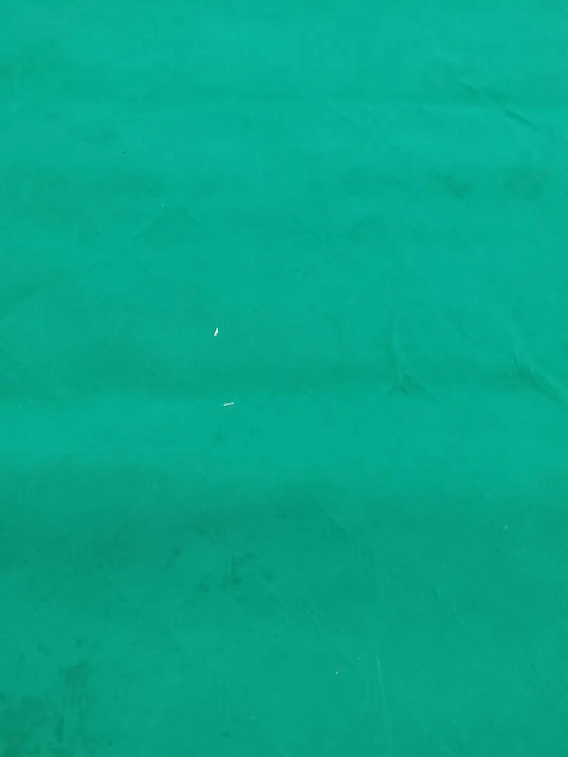 یک فرش نو متری ویک موکت ۱۲ متری|فرش|بندر ماهشهر, |دیوار