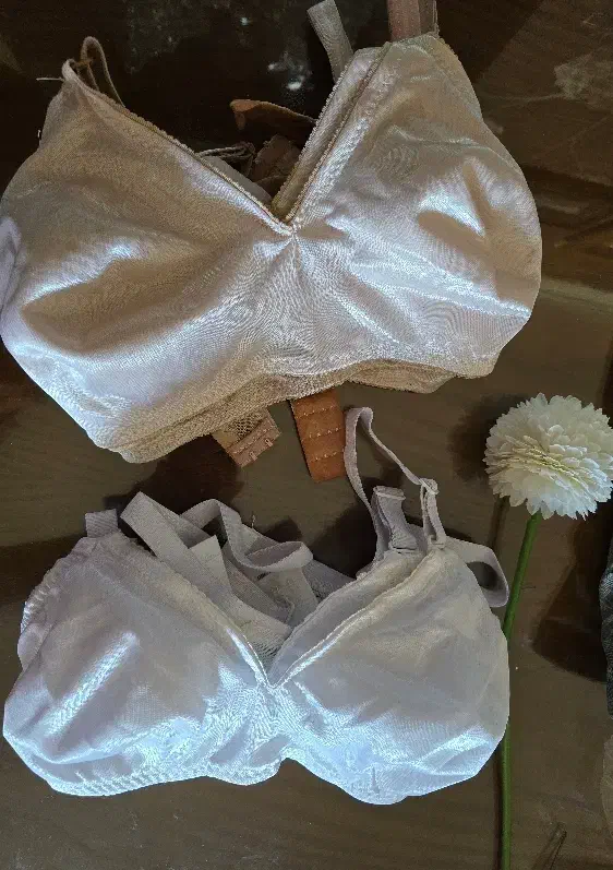 سوتین|لباس|یزد, |دیوار