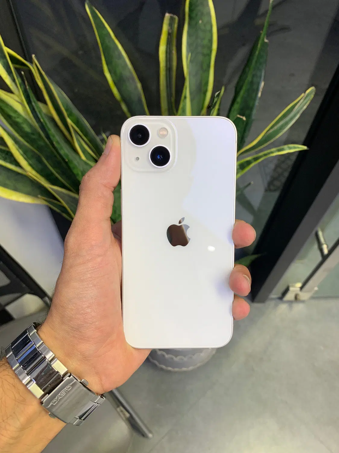 iphone13-256GB|موبایل|گرگان, |دیوار