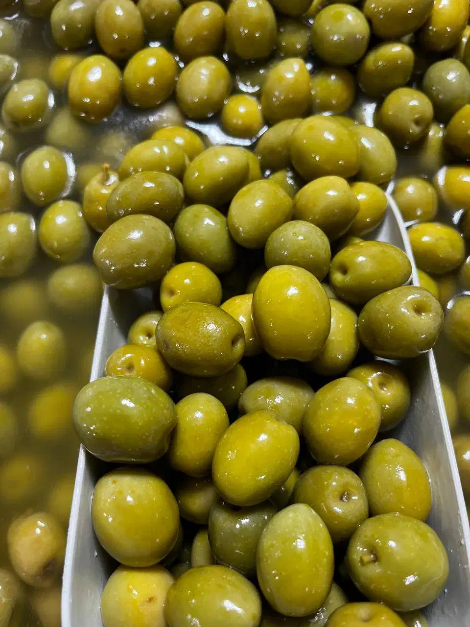 به یک نیروی جوان جهت همکاری در زیتون سرا نیازمندیم|استخدام بازاریابی و فروش|تالش, هشتپر|دیوار