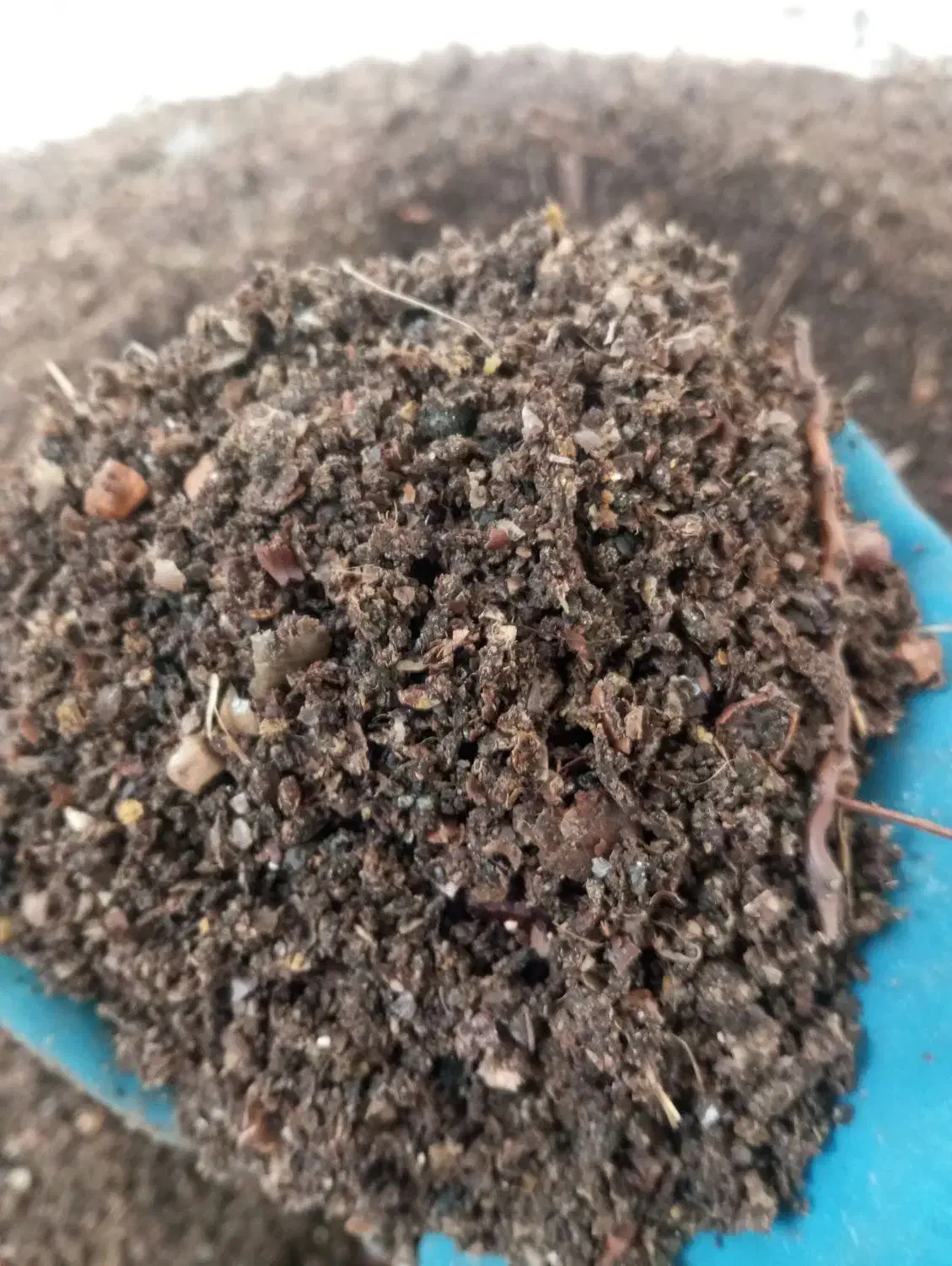 تفاله موجود|لوازم جانبی حیوانات|مشگین شهر, |دیوار