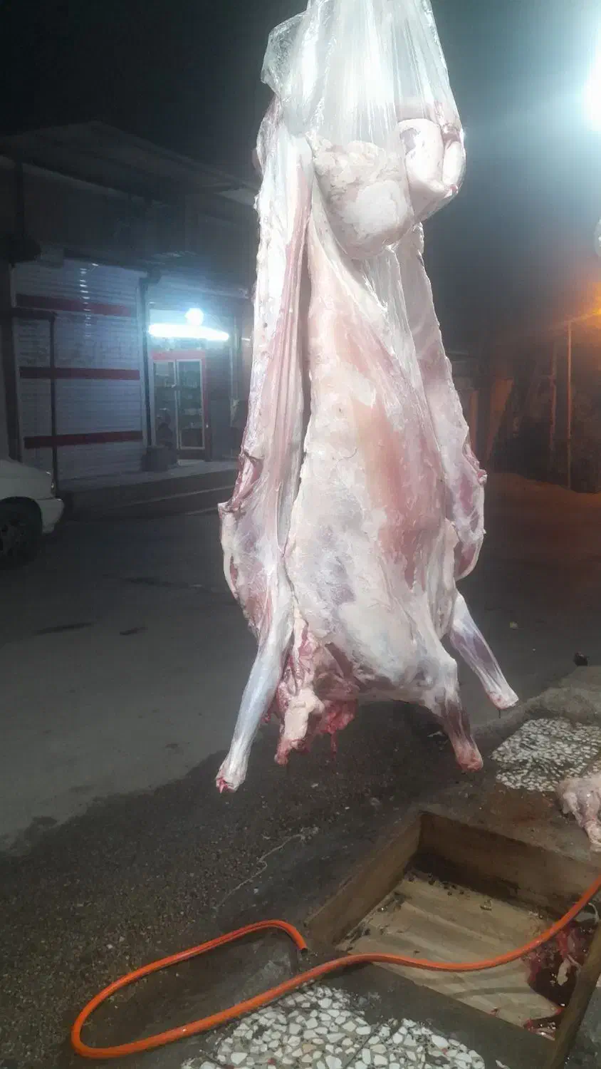 فروش گوشت بره و گوساله|خوردنی و آشامیدنی|اهواز, منبع اب|دیوار