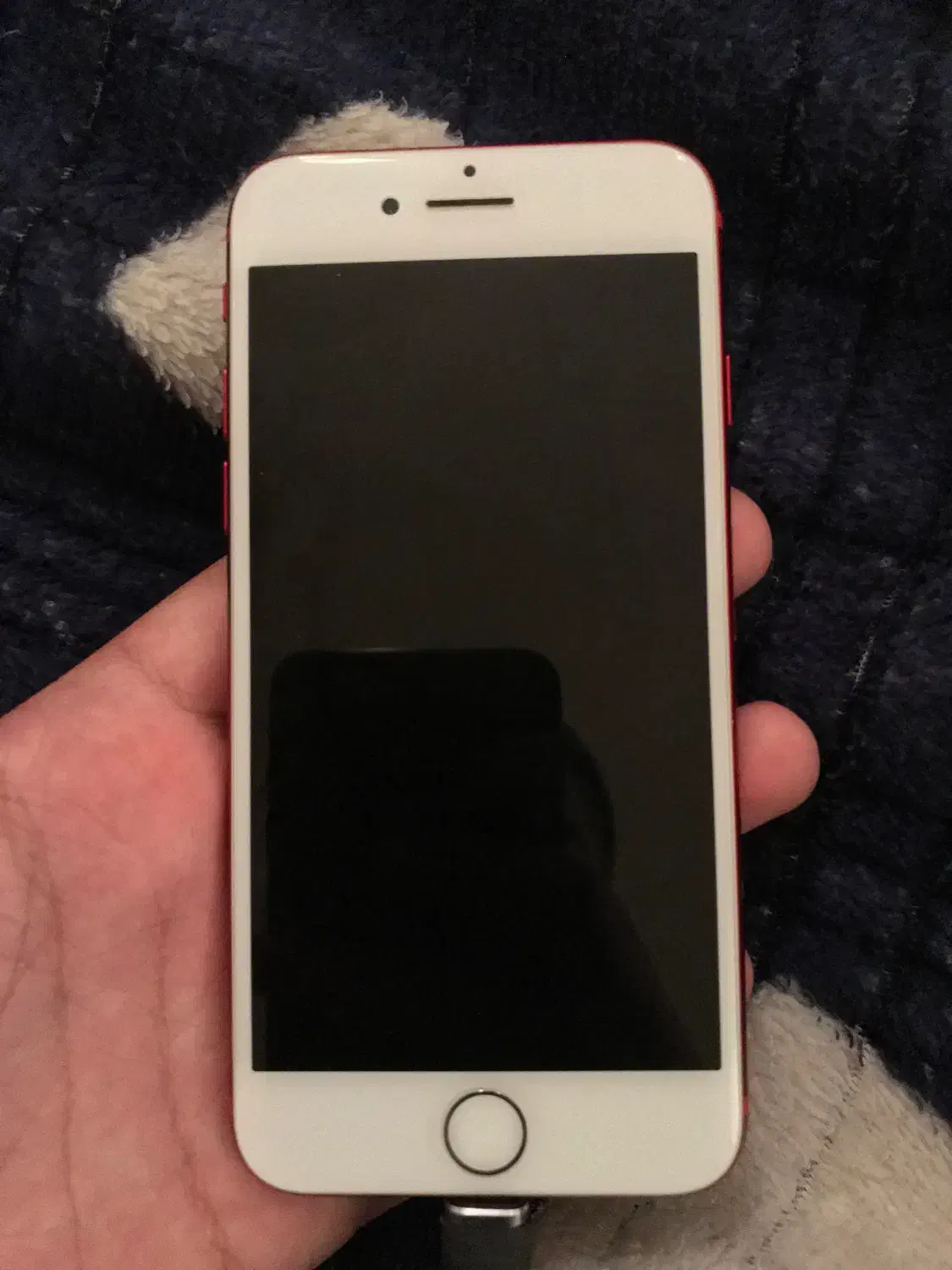 iPhone 7|موبایل|بندر دیر, |دیوار