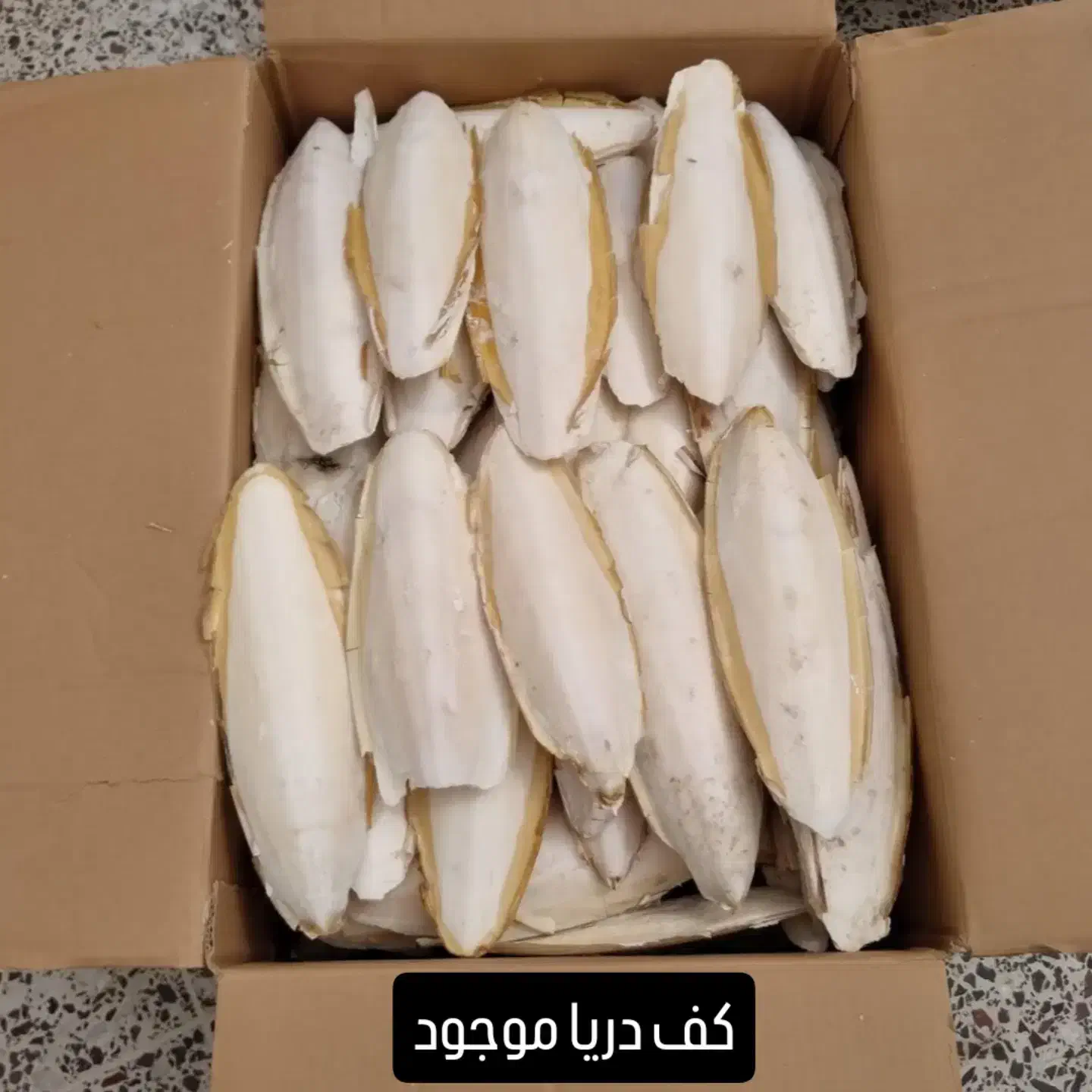 کف دریا درجه یک تمیز دورشت|آرایشی، بهداشتی، درمانی|بندر دیر, |دیوار