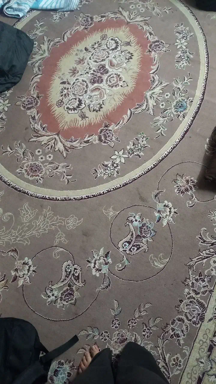 اکرولیک ۵۰۰|فرش|مشهد, کلاهدوز|دیوار