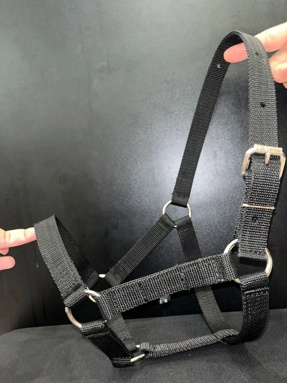 کله گیر پا آخوری اسب و گاو|اسب و تجهیزات اسبسواری|لاهیجان, کوی آزادگان|دیوار