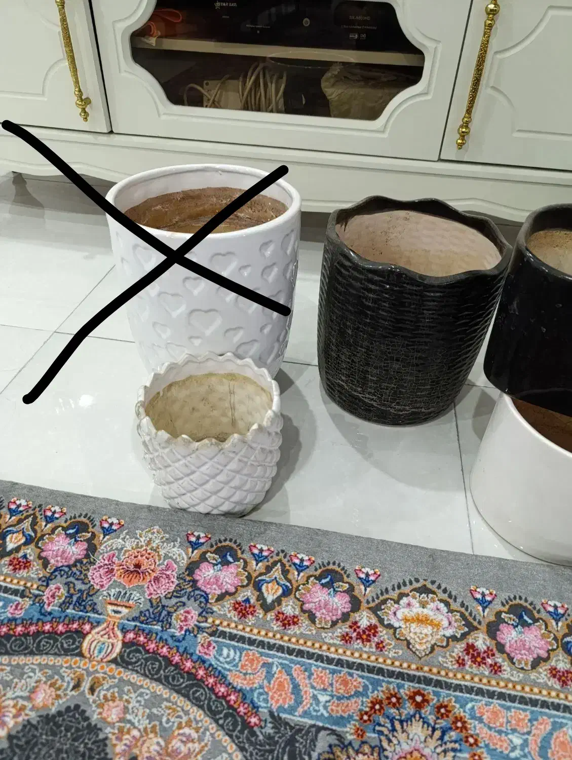 گلدان|گل و گیاه طبیعی|اهواز, کوی باهنر|دیوار