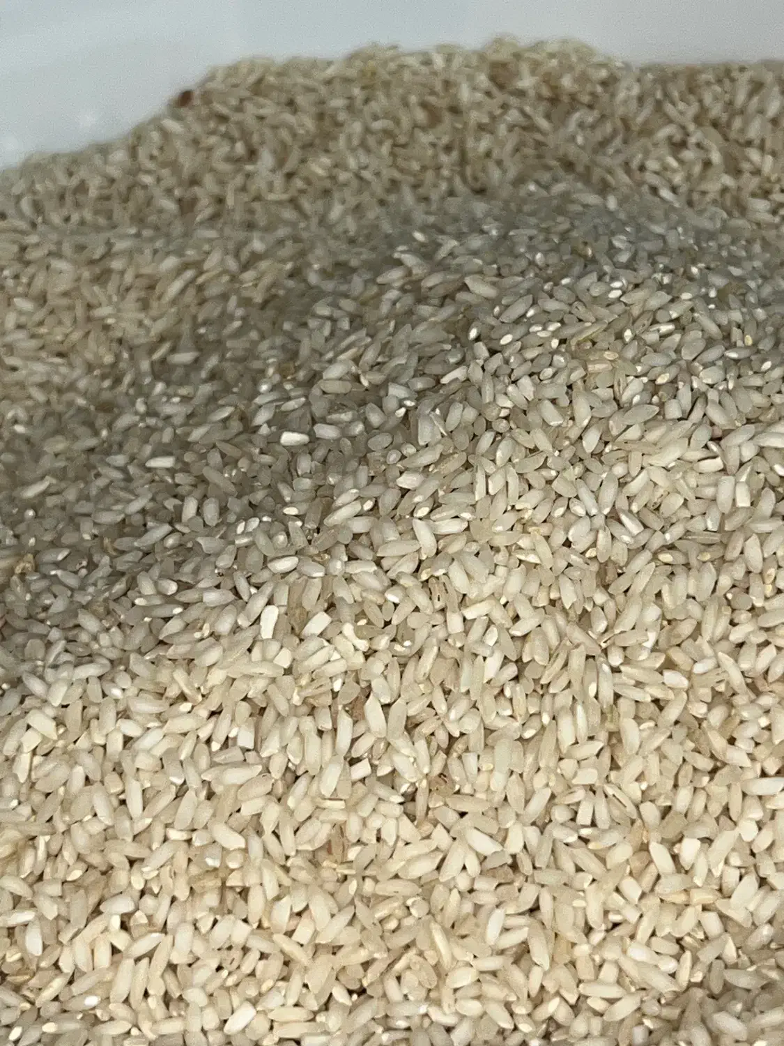 برنج عنبربو درجه یک|خوردنی و آشامیدنی|شوشتر, |دیوار