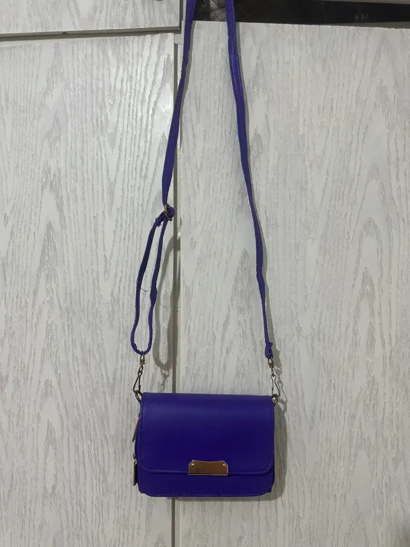 کیف|کیف، کفش، کمربند|کرج, باغستان|دیوار