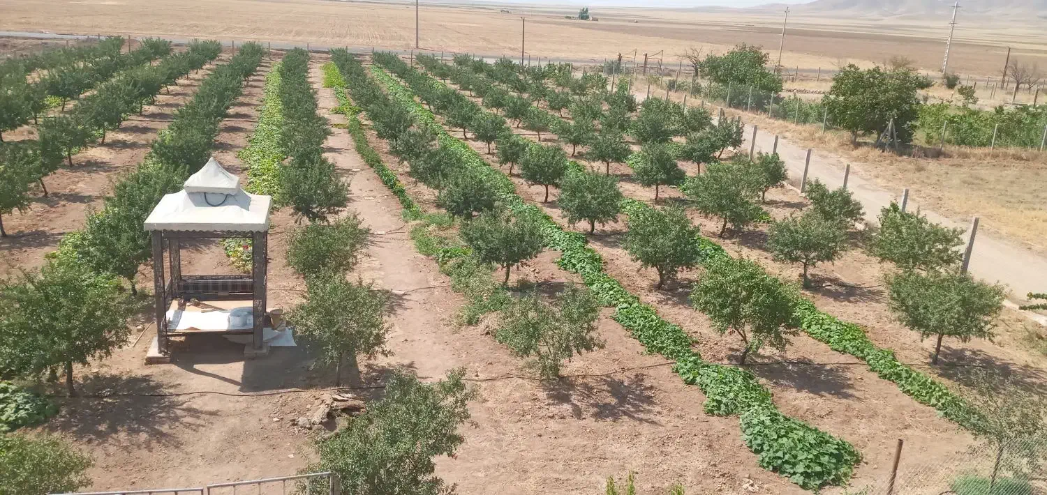 فروش باغ ویلا|فروش خانه و ویلا|ضیاء آباد, |دیوار