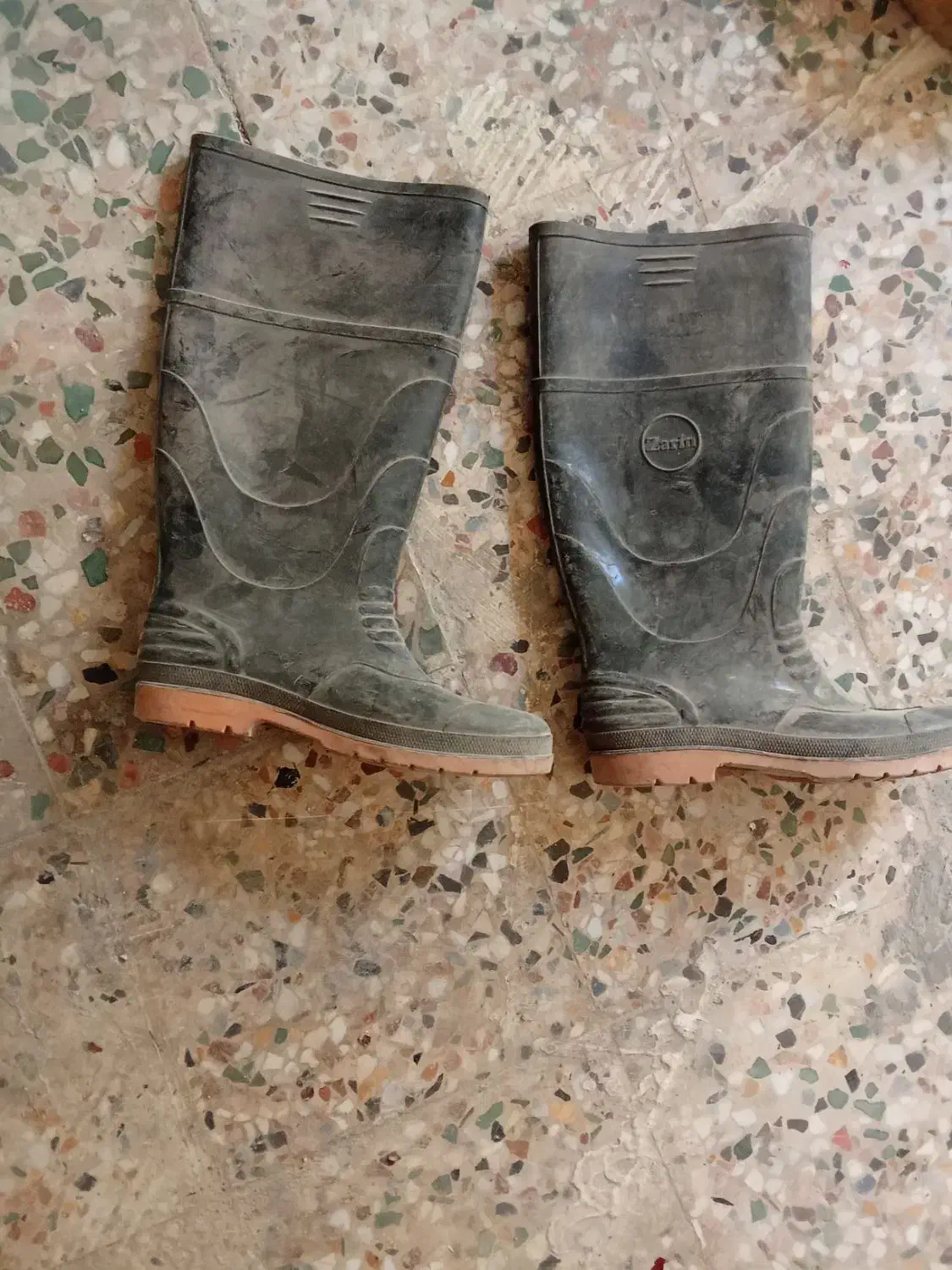 چکمه|کیف، کفش، کمربند|کازرون, |دیوار