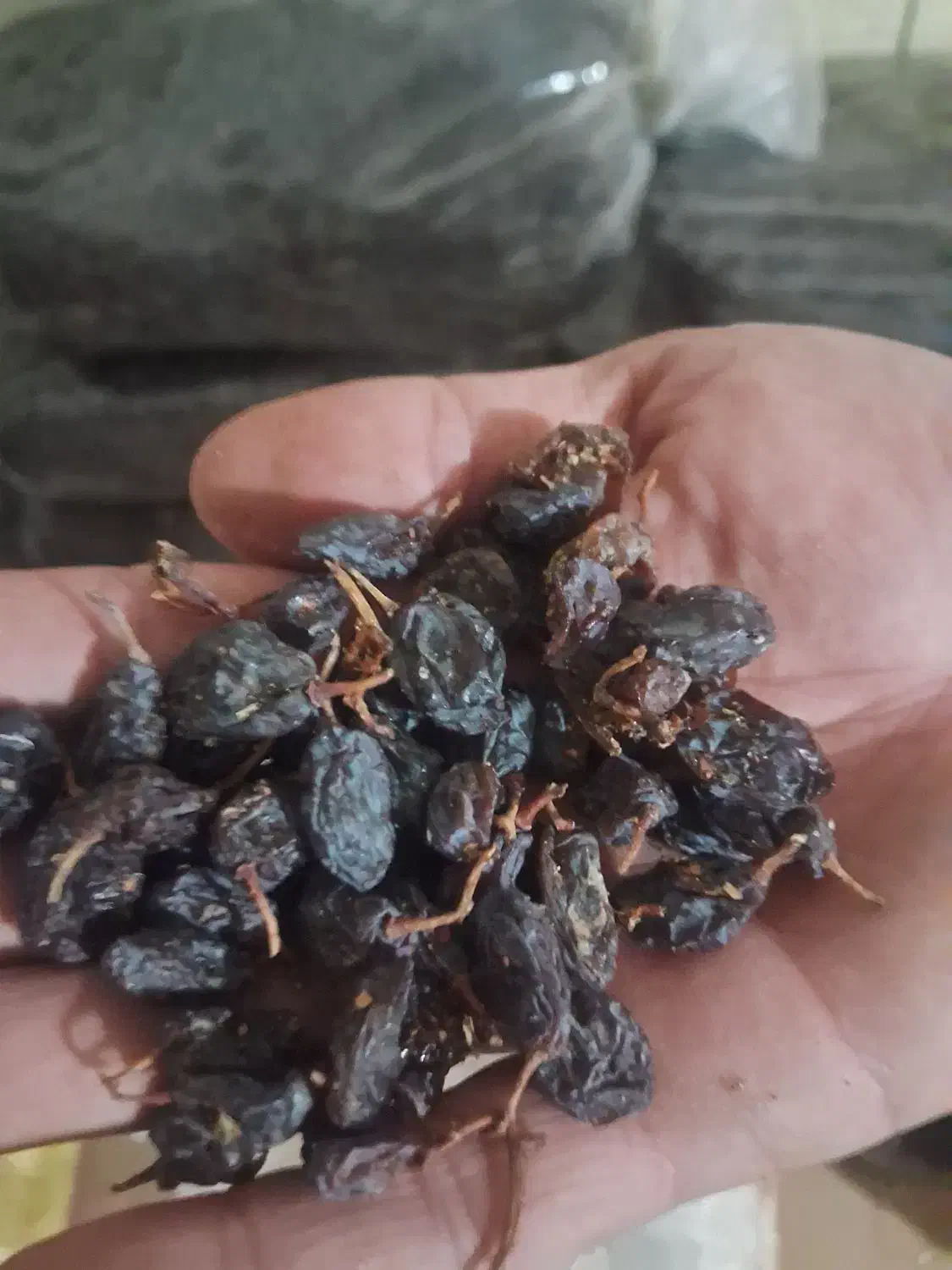 کشمش ومویز درجه یک ۱۶۰هزار|عمده‌فروشی|میانه, |دیوار