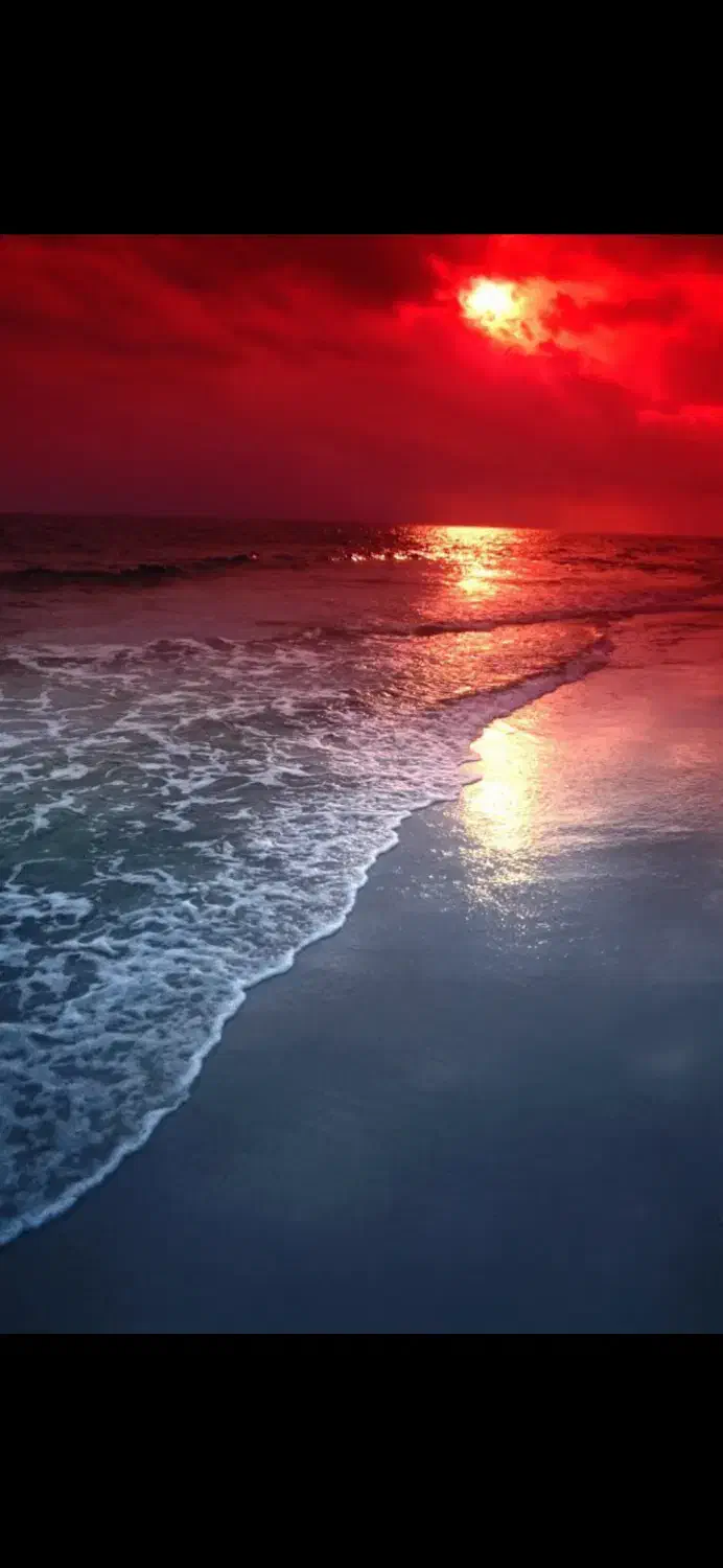 0912-9009-231|سیم‌کارت|تهران, نیاوران|دیوار