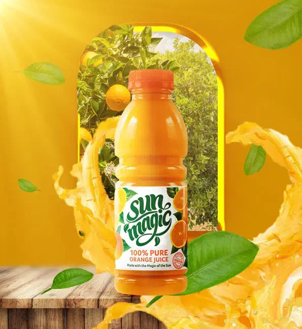 طراحی گرافیک حرفه ای با هر سبک و سلیقه|خدمات رایانهای و موبایل|مشهد, موسوی قوچانی|دیوار